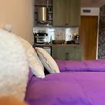Bambi Apartamento
