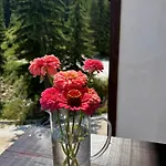 Bambi Апартаменты *