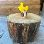 Bambi Apartamento