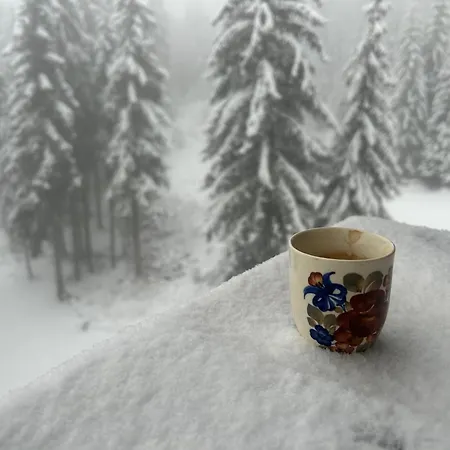 Bambi Ezerovo (Smolyan)