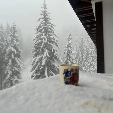 Bambi Pamporovo