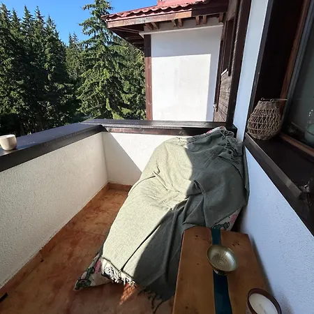 Apartment Bambi Pamporovo