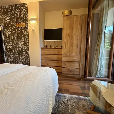 Bambi Apartment Pamporovo