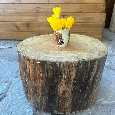 Bambi Apartment