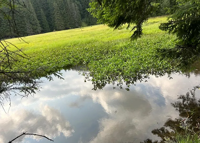 Bambi Apartment Pamporovo